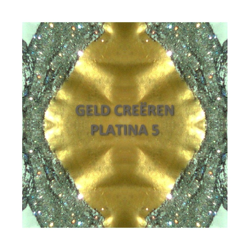 Platina 5+6