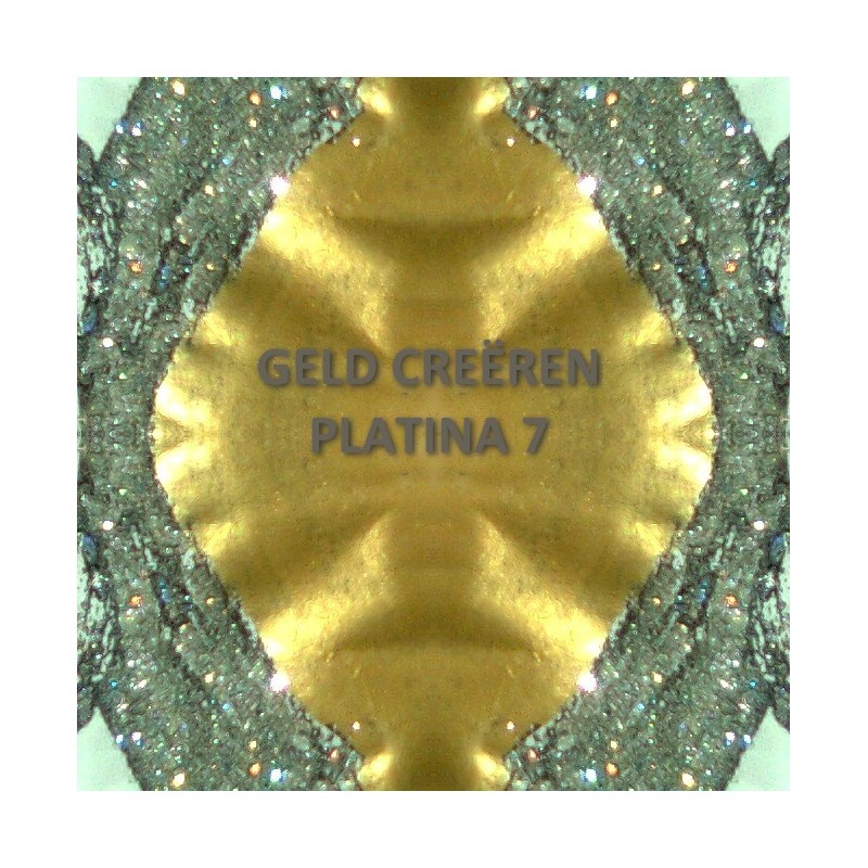 Platina 7+8