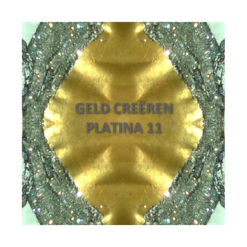 Platina 11+12